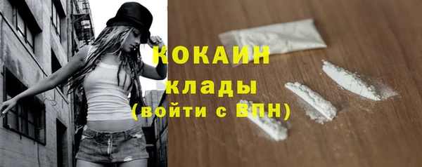 бошки Аркадак