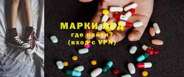 ПСИЛОЦИБИНОВЫЕ ГРИБЫ Арсеньев