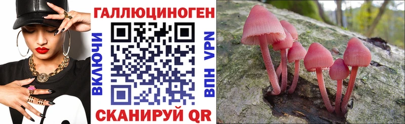 Псилоцибиновые грибы мухоморы  купить  сайты  OMG как войти  Кубинка 